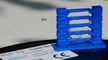 Featured image of The Best PLA Bed & Print Temperature Settings