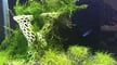 Featured image of The Best 3D Printed Aquarium Decorations & Accessories