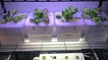 Featured image of 3D Printed Hydroponics: 5 Amazing Projects