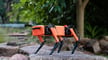 Featured image of 3D Printed Robots: The Greatest Projects