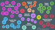 Featured image of Complete Overview of the Types of 3D Printers