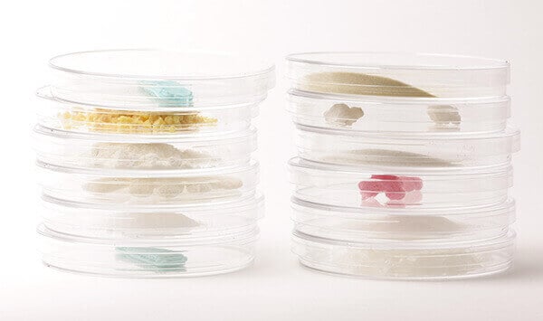 We might soon be able to make our own chewing gum, with our own natural flavors (image: Gumlab.uk)