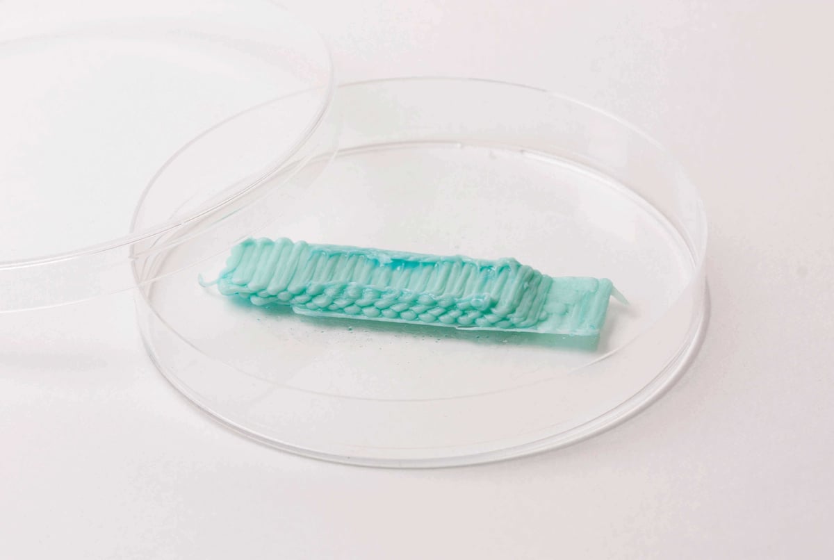 3D_chewinggum1_gumlabuk_4152