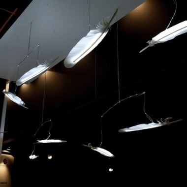 The feather (image: .exnovo)