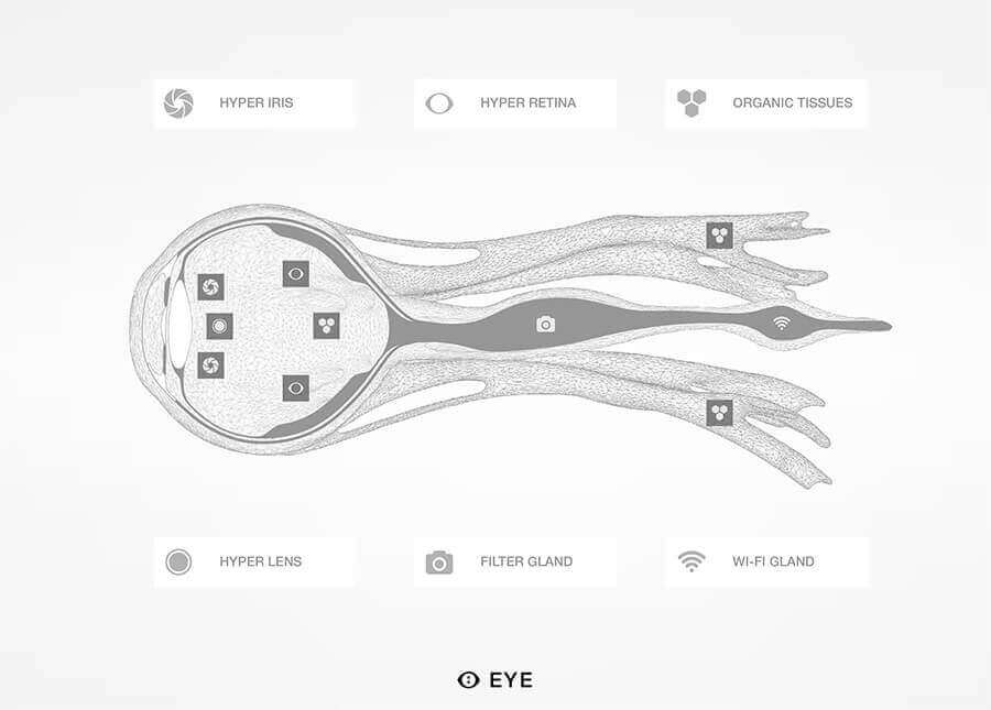 Wif-EYE included. (source: MHOX)