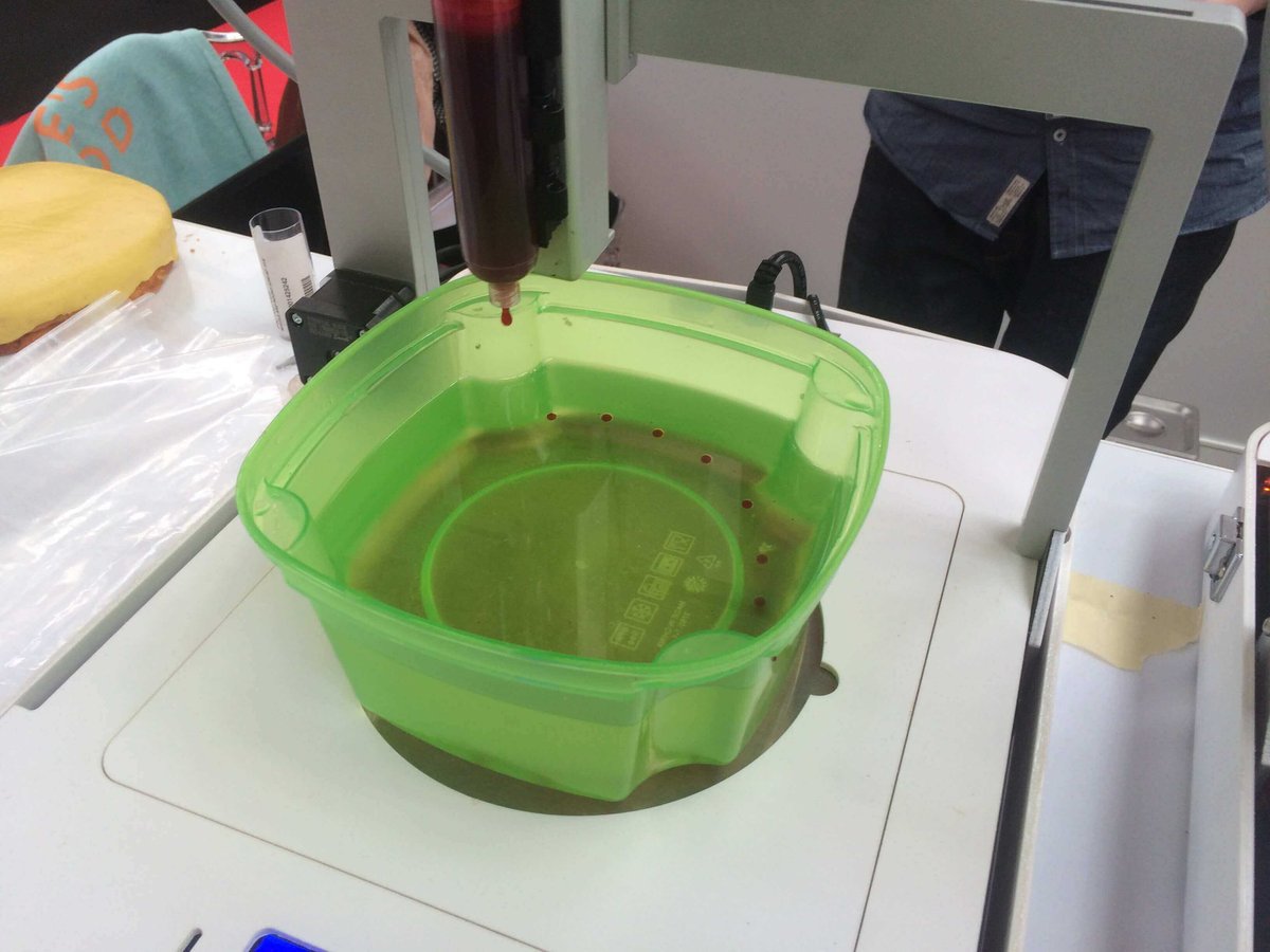 Focus 3D Printer