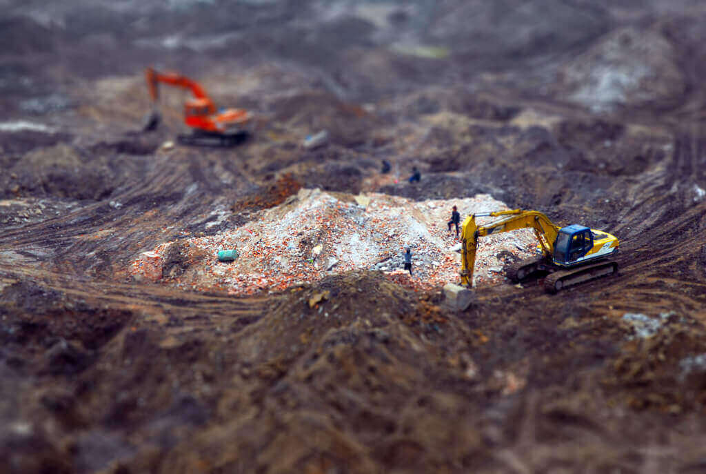 Believe it or not, these diggers are normal-sized. (source: Flickr, CC-BY-SA 2.0)