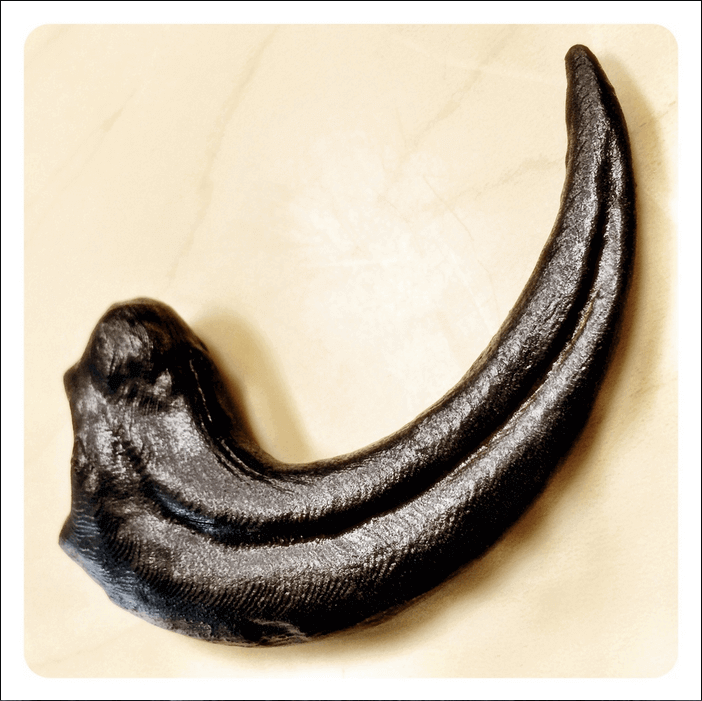 Velociraptor Claw Jurassic World