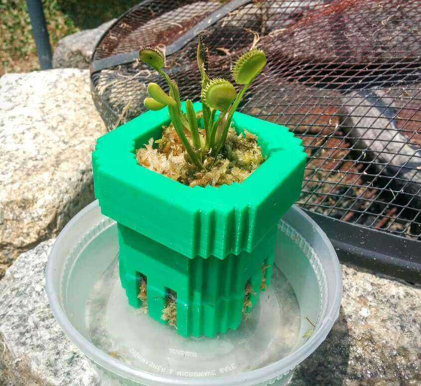 Carnivore alert... but you also plant for more peaceful species (image: )