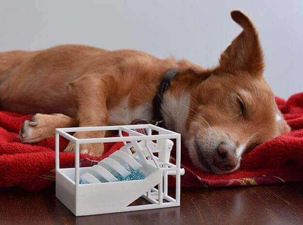 3d Printing dog