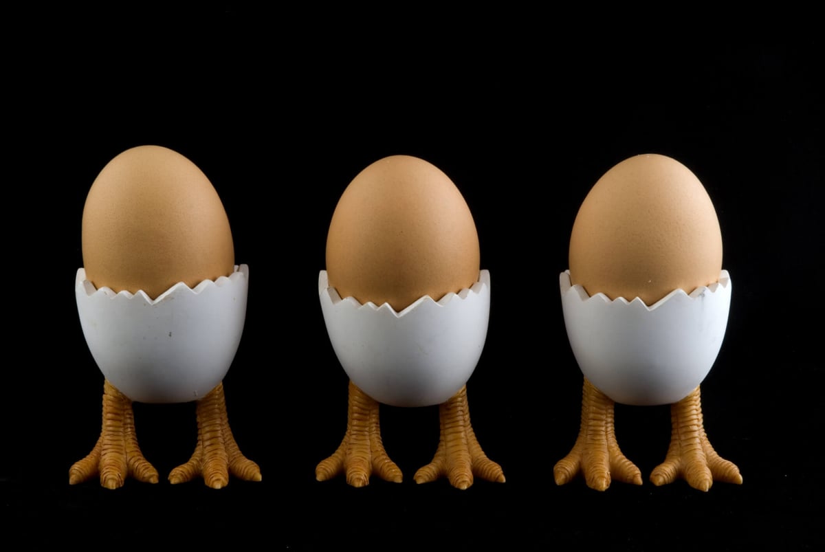 Chicken Legs