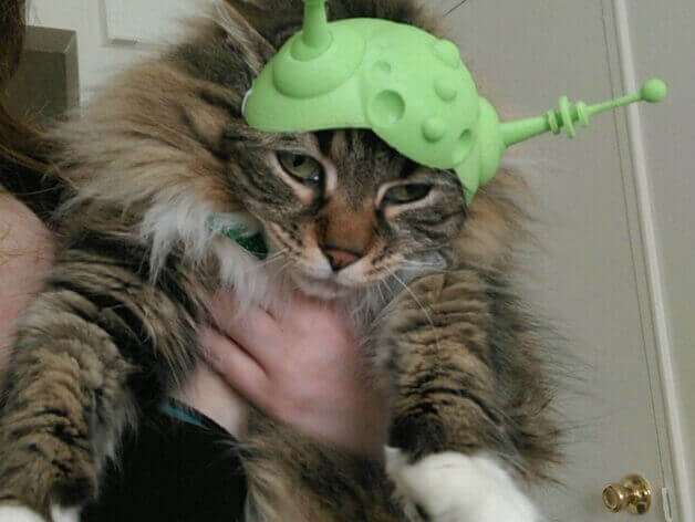 helmet