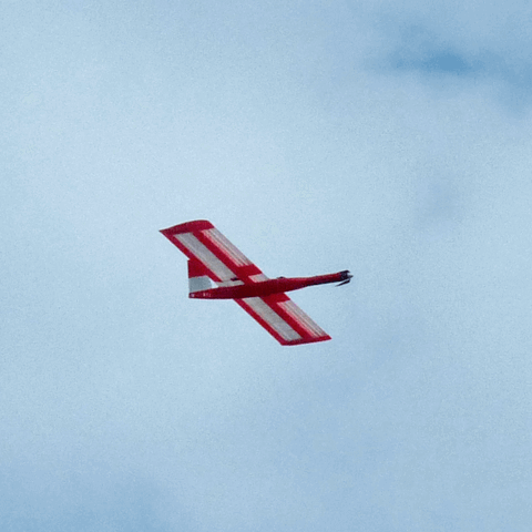 3D Printed Aircraft