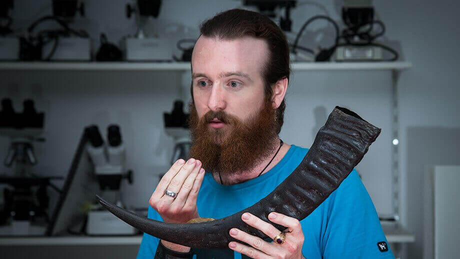 ancient Irish horn