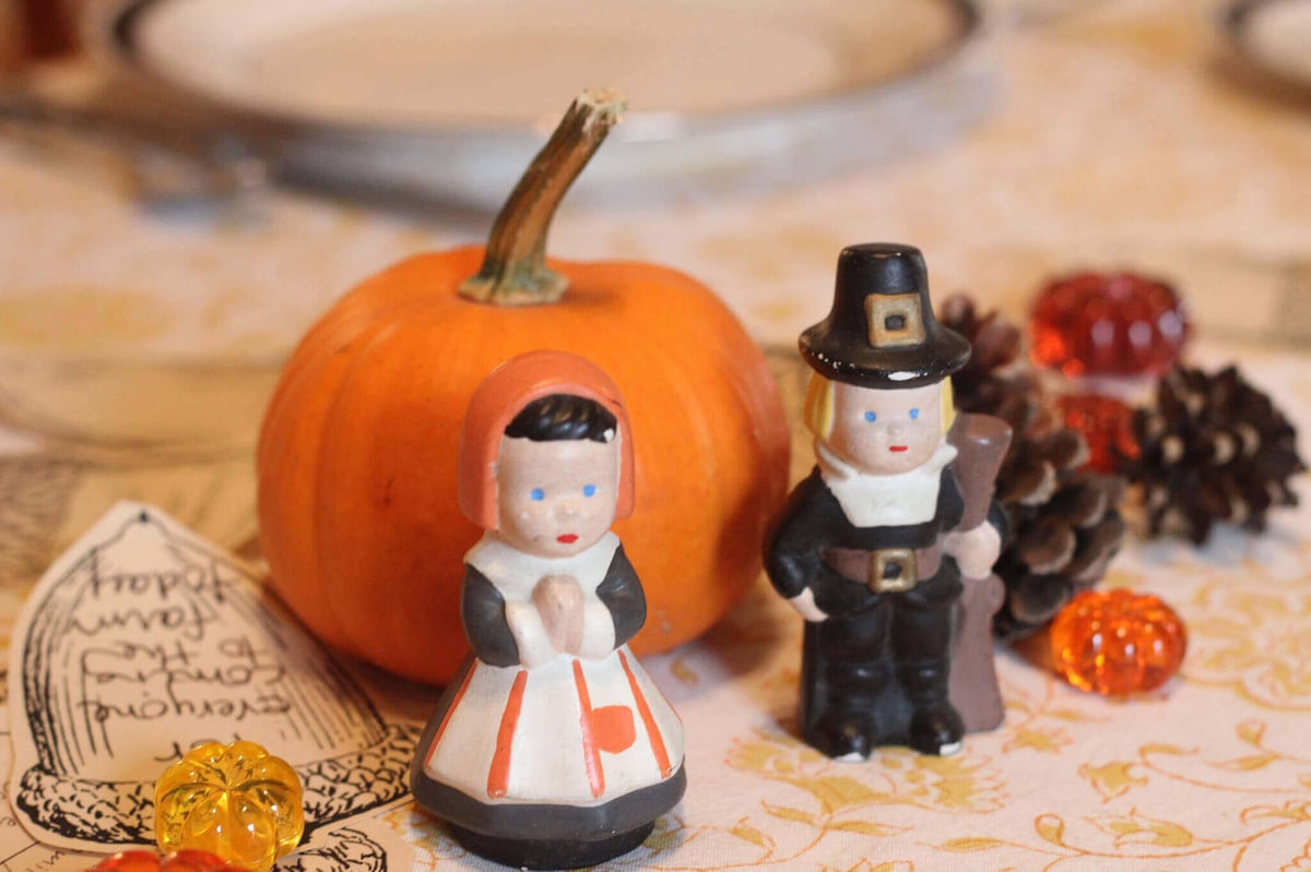 Adorable Turkey Day Possibilites (Image: Regan76)