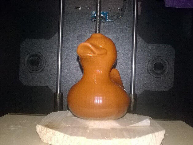 duck