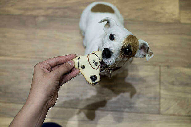custom cookie cutter