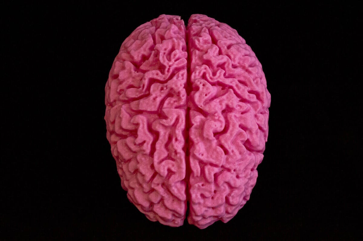 Shiny, new, 3D Printed Brain
