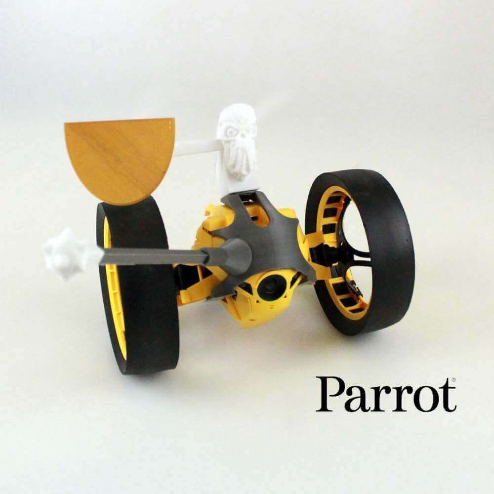 parrot