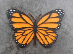 Monarch Butterfly