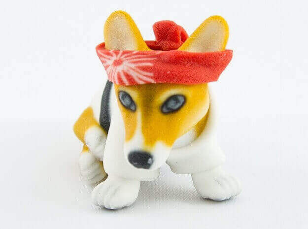 karate corgi