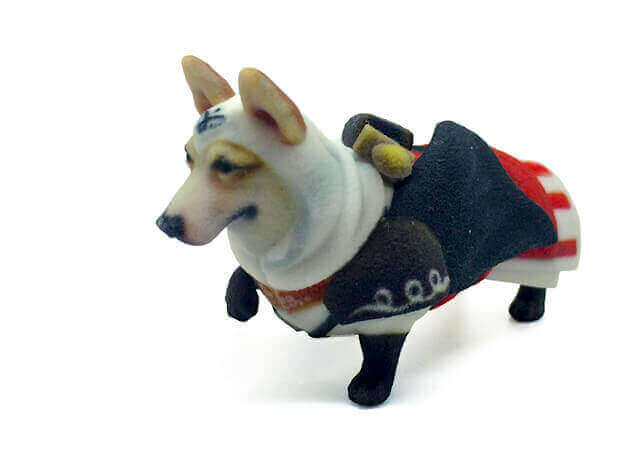 assassin's corgi