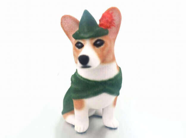 corgi hood