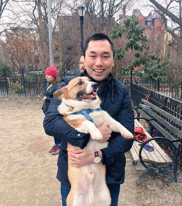 Thorgi the Corgi