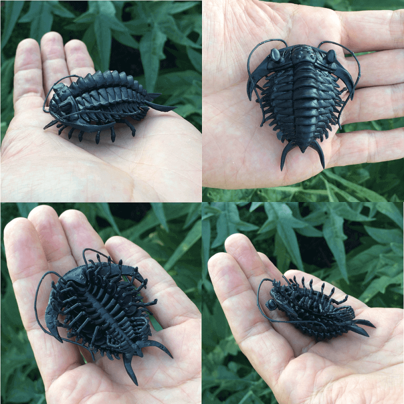 3d printed trilobites