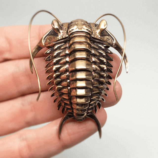 3D Printed Trilobites