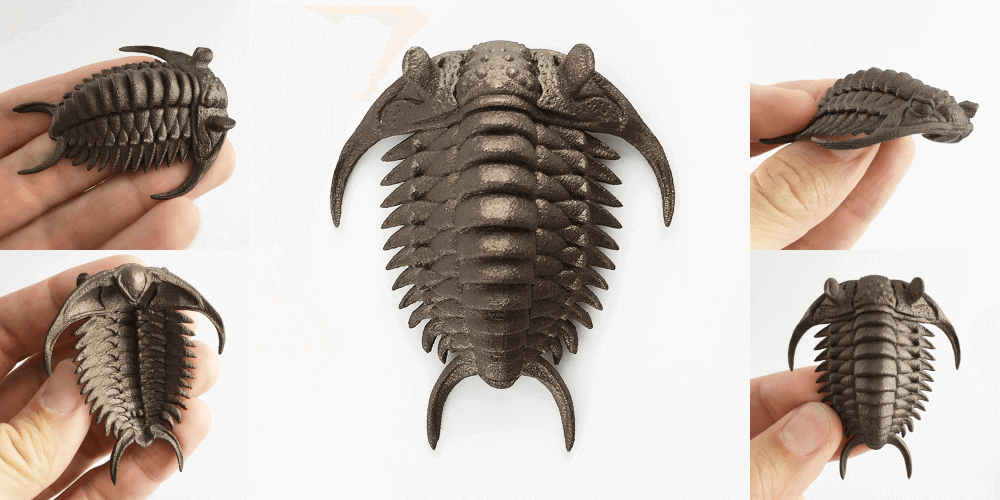 3d printed trilobites