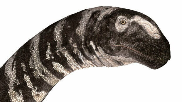 3d printed dinosaur