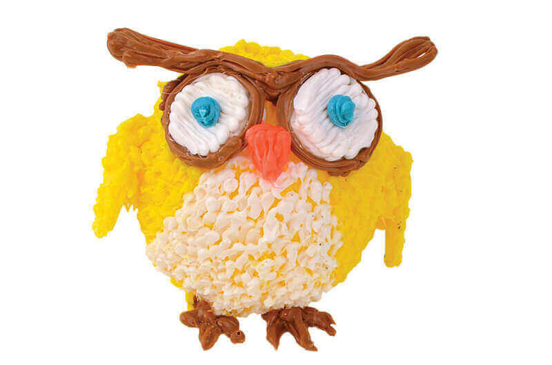 bird