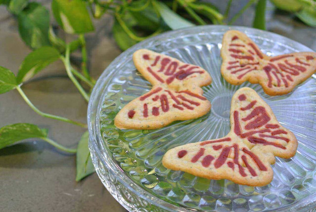 butterfly quiche