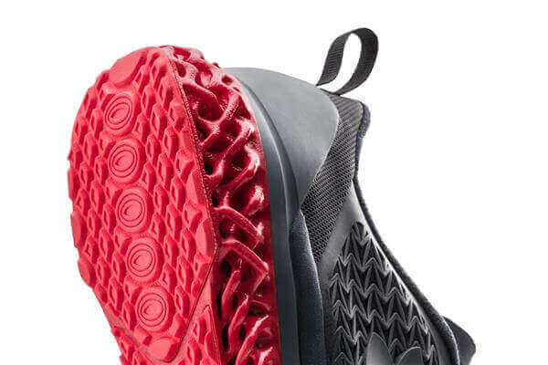 shoe