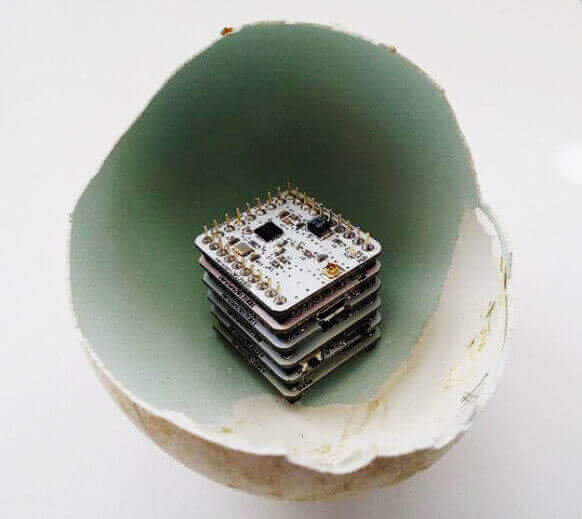 egg2