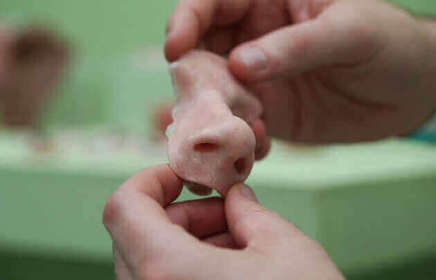 3d printed nose