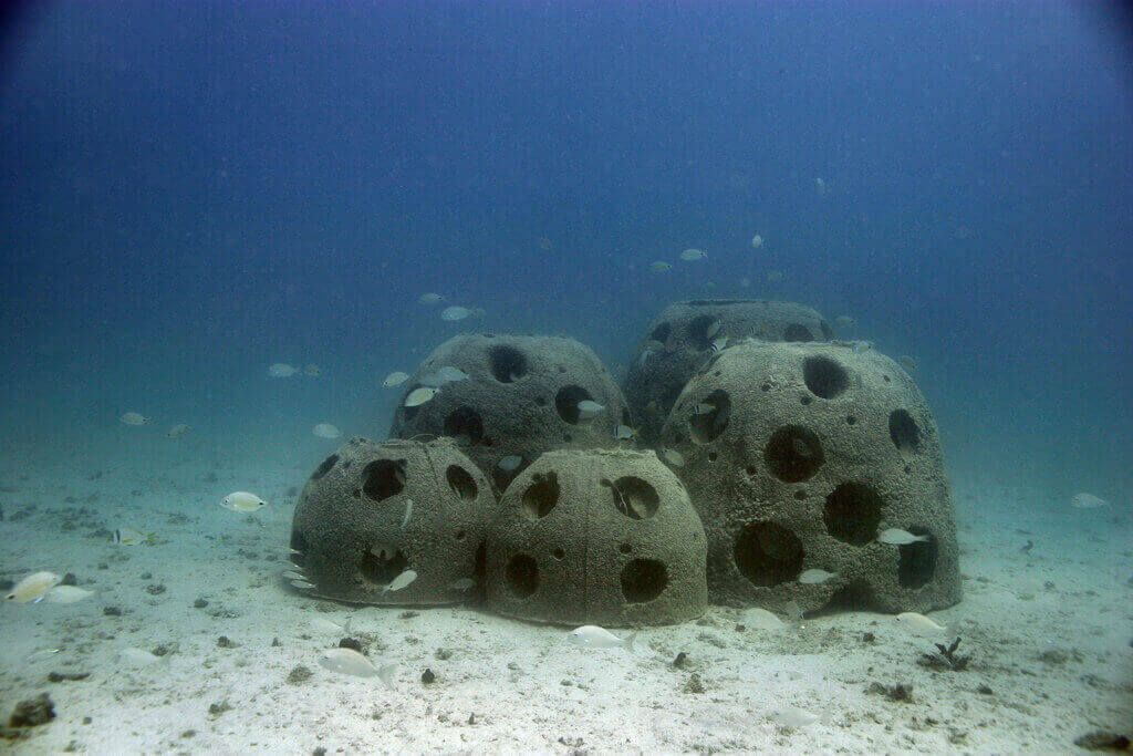 Colony of 3D printed coral reef balls (Image: Reef Arabia)