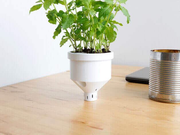 campbell planter