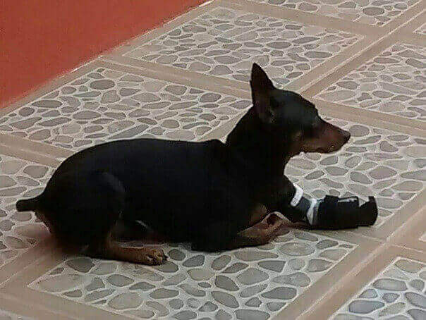 josemivaz