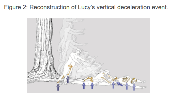 Lucy