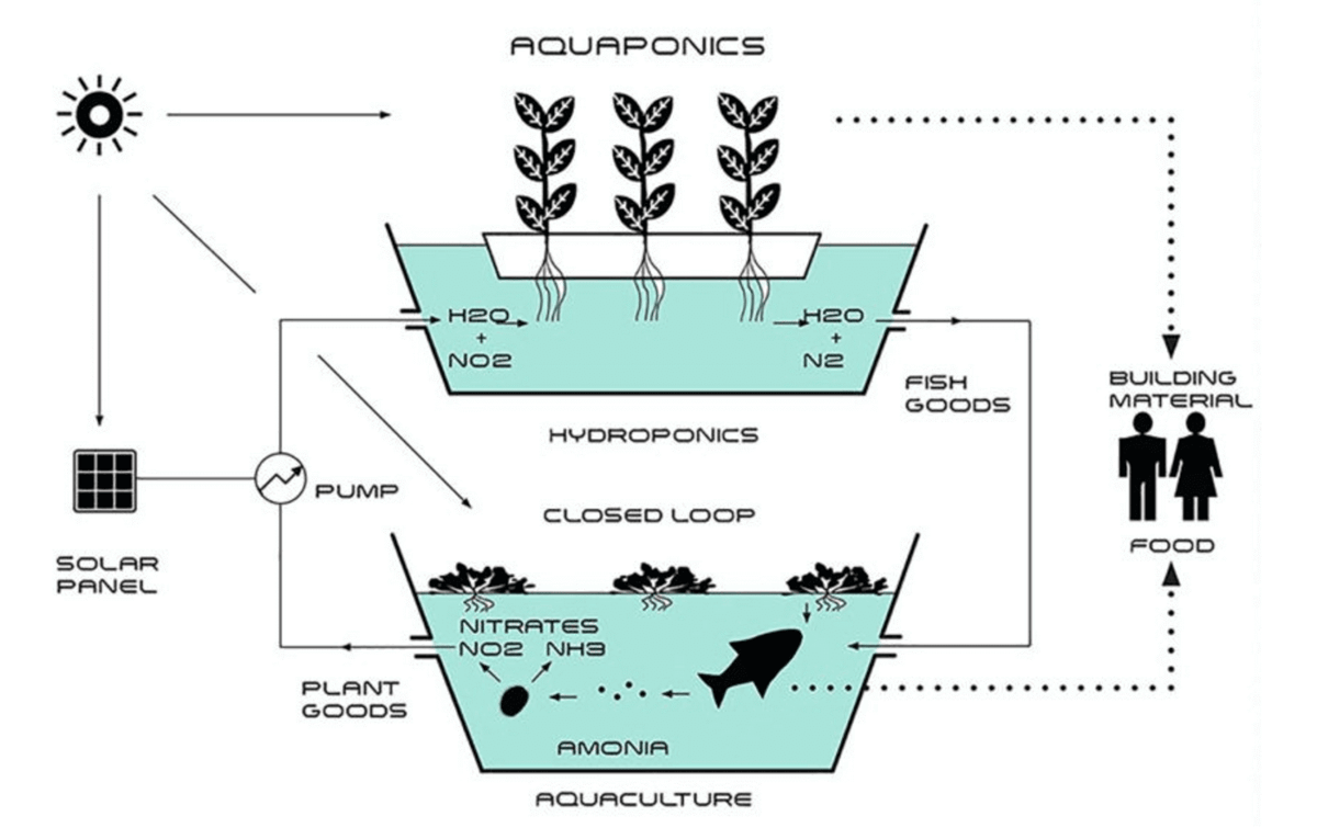 3D printed hydroponic home