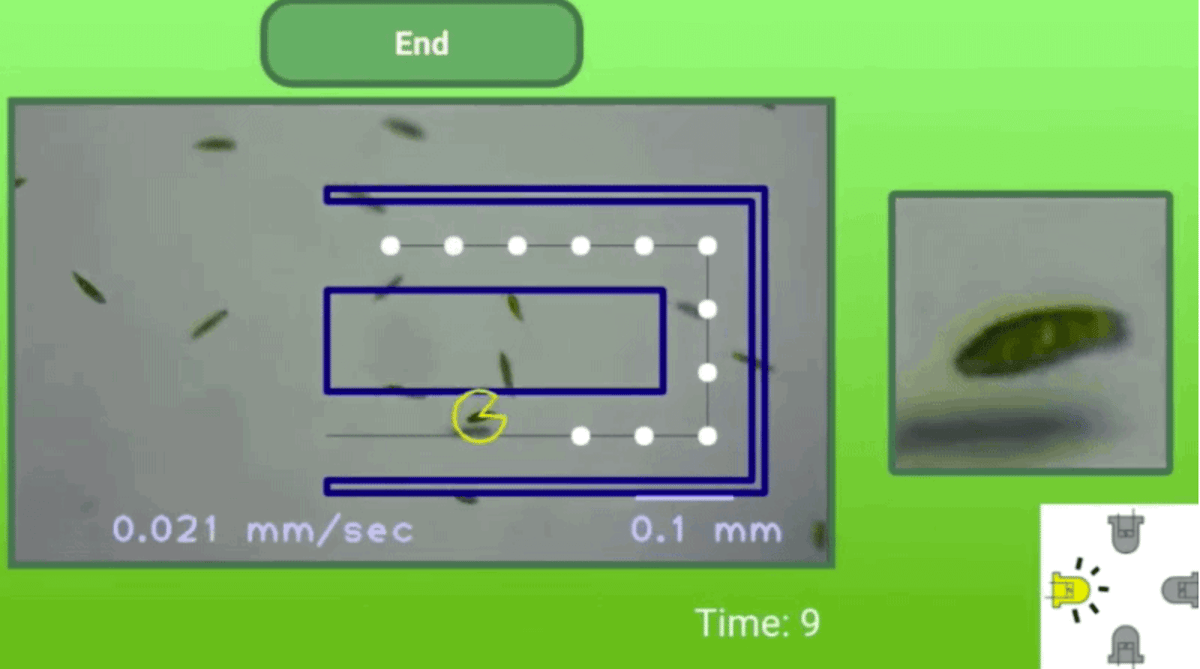 3D Printed Microscope