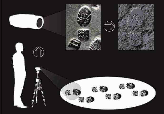 3D forensics