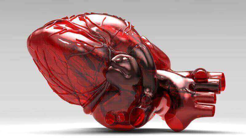 101 questions answered heart