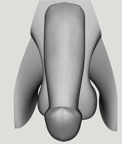 3D Printed Sex-Ed