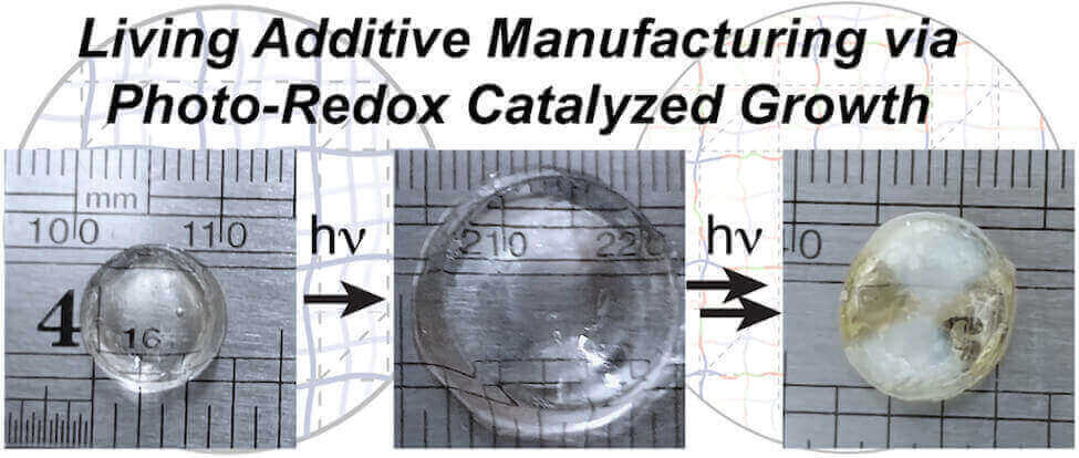 living polymerization