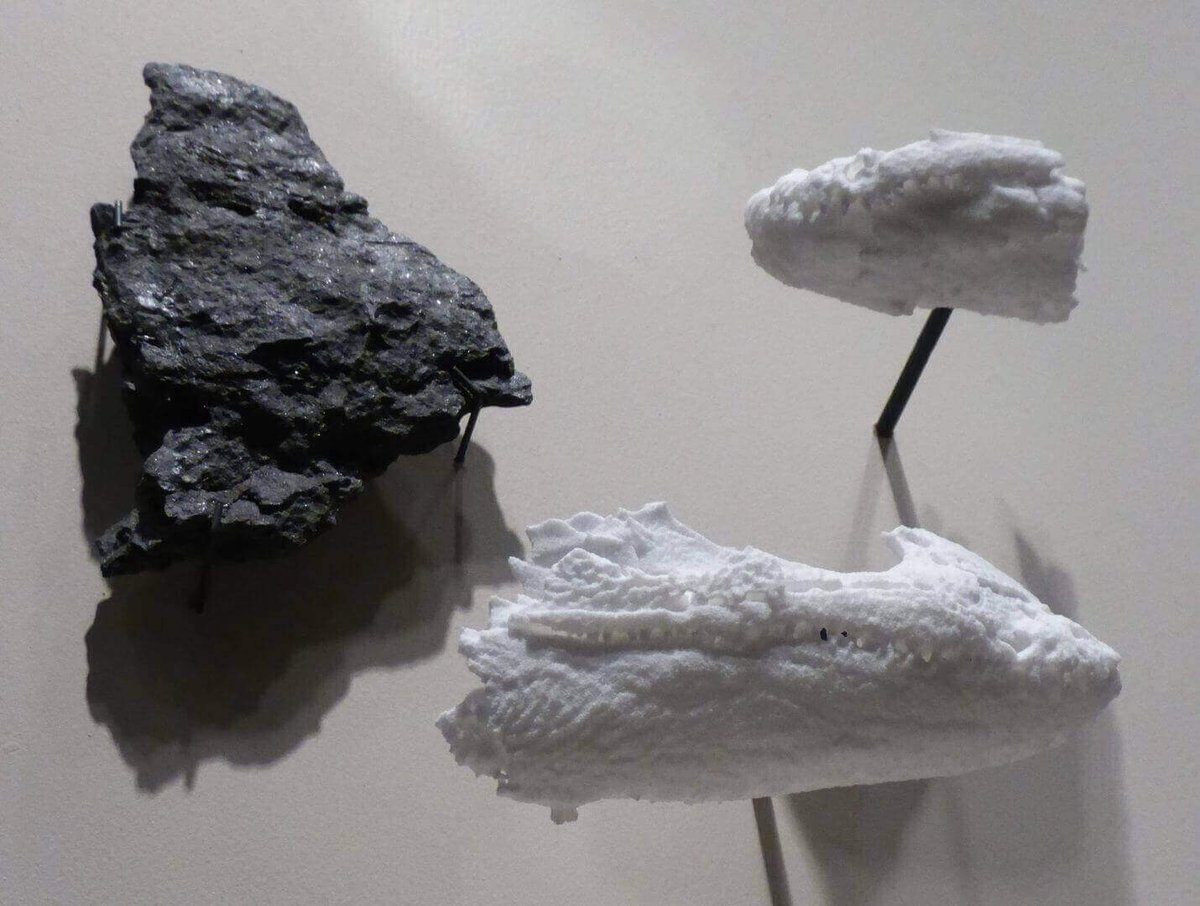 Tiny Tetrapod