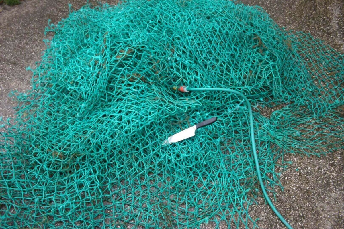fishy filaments