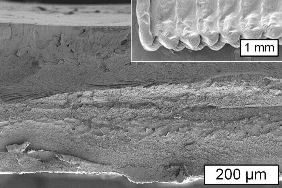 MIT research cellulose 3d printing